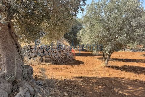 Farm hus i Ostuni, Brindisi, Ostuni - € 85.000 | Ref: 172956 - foto 23